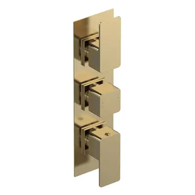 Empire Square Concealed Triple Thermostatic Shower Valve (2 Outlets), Brushed Brass - Balterley