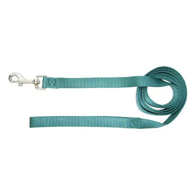 Hamilton Single Thick Nylon Dog Lead 1-Inch by 6-Feet Teal