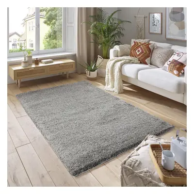 (120cm x 170cm (4ft x 5ft 8")) Soft Thick Luxury Modern Shaggy Rug Silver/Grey