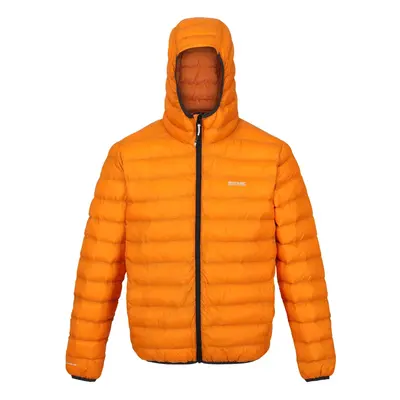 (S, Orange Pepper/Burnt Copper) Regatta Mens Marizion Baffled Hooded Padded Jacket