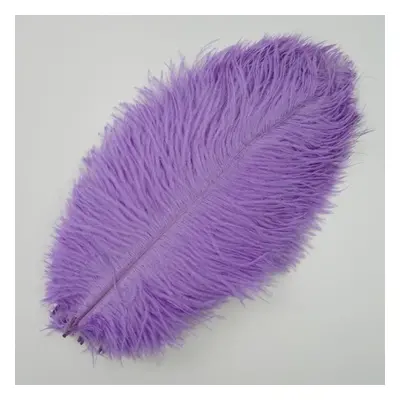 (light purple, 45-50cm 18-20inch) 10pcs /lot New Colored Ostrich Feathers For Crafts White Black