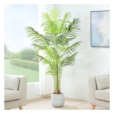 (160CM) Artificial Palm Tree with Plastic Planter and Moss