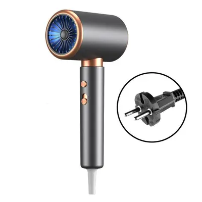 (gray, EU) Professional Blow Dryer 2400w Ionic Salon Hair Dryer Lightweight Travel Hairdryer For