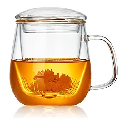 DOPUDO PAVILION Glass Tea Cup with Infuser and Lid, 17.6oz/ 520ml Borosilicate Glass Large Tea M