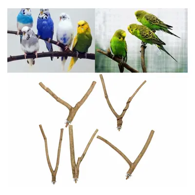 Pet Parrot Raw Wood Fork Stand Rack Toys Hamster Branch Perches for Bird Cage