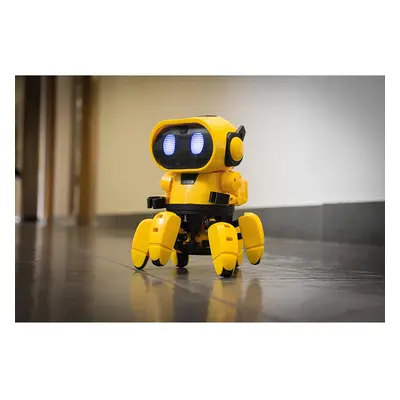 CONSTRUCT & CREATE Tobbie the Self-Guiding AI Robot