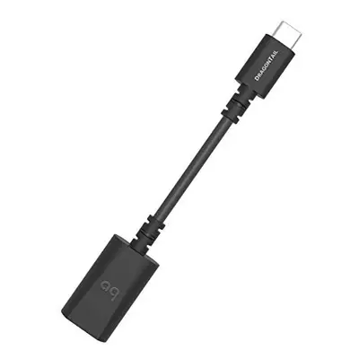 DragonTail Carbon USB A to C Adapter