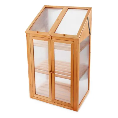 Wooden Mini Greenhouse With Polycarbonate Glazing