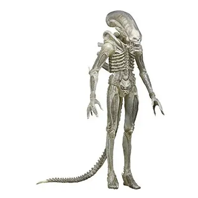 NECA Aliens Series Concept Action Figure (7" Scale)