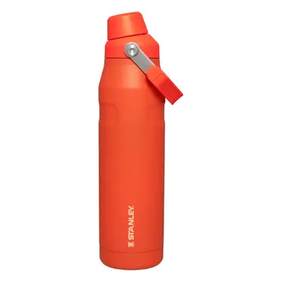 Stanley IceFlow Fast Flow Water Bottle OZ Angled Spout Lid Lightweight Leakproof for Travel Gym 