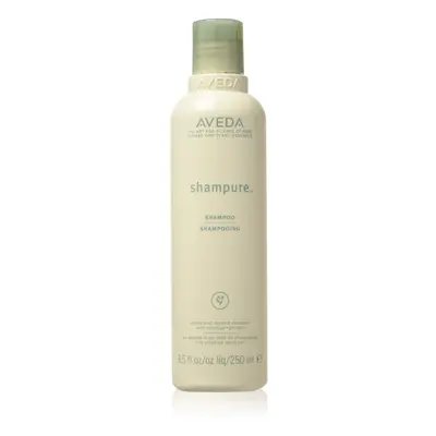 Shampure Shampoo 8.5 oz