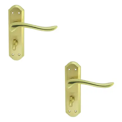 2x PAIR Curved Lever on Sculpted Bathroom Backplate x 48mm Dual Brass