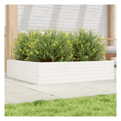 vidaXL Garden Planter White 100x100x23 cm Solid Wood Pine