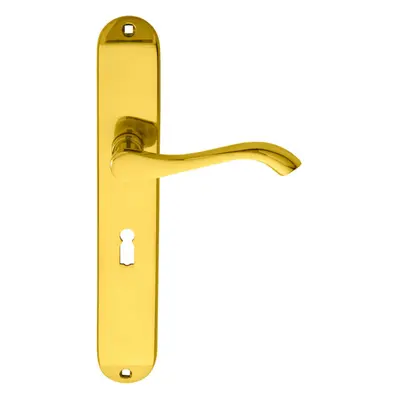 PAIR Curved Handle on Long Slim Lock Backplate x 40mm Polished Brass