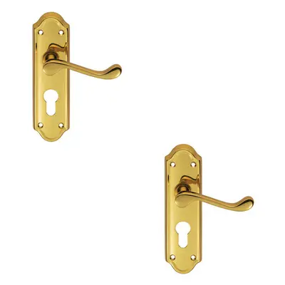 2x PAIR Victorian Upturned Lever on Euro Lock Backplate x 47mm Brass