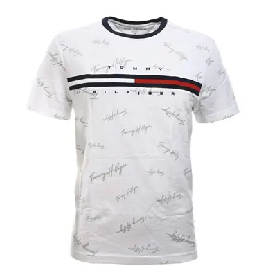 Tommy Hilfiger Mens Classic Fit Big Logo T-Shirt (X-Large White (Silv