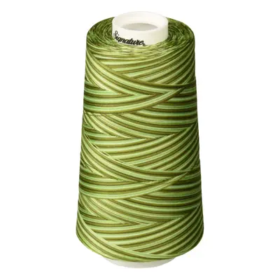 Signature Thread 40wt/3000 yd Variegated Grassy Greens