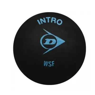 Dunlop Intro Squash Balls (Pack of 12)