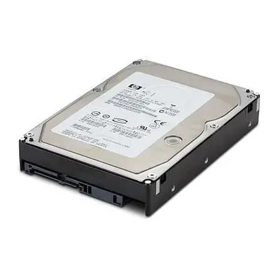 DRV HD 300GB 2.5 10K 6G SAS