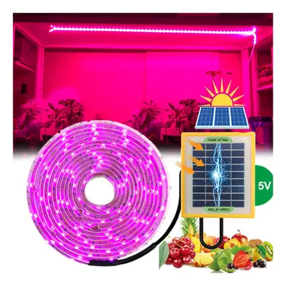 10M Solar Phytolamp for Seedlings Powered LED Grow Light 5V Phyto lamp for Plants Greenhou