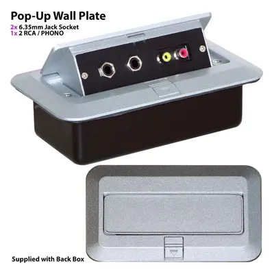 PRO Gang Pop Up Wall Floor Plate & Back Box 2x 6.35mm & 2x RCA PHONO Outlet