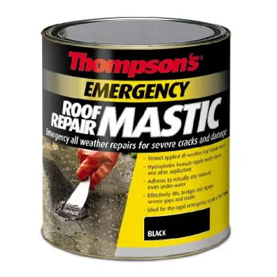 TERRM750 Thompsons Emergency Roof Repair Mastic ml