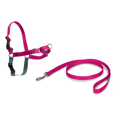 PetSafe, Easy Walk Harness, Medium, Pink, 1.8 metre lead, No Pull, Training, Adjustable, for sma