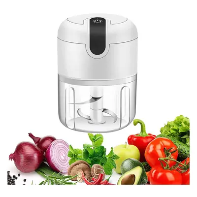 250ML Electric Garlic Press Chopper Chili Onion Fruits Blender Mixer