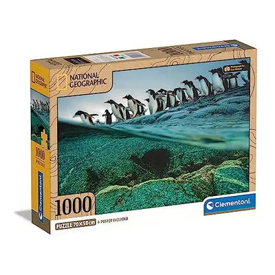 39730 National Geographic-Gentoo Penguins Pieces, Jigsaw Adults, Puzzle Animals-Made in Italy