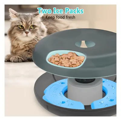 (black) Automatic Timer Pet Feeder, Automatic Dispenser with Battery USB Power, Two Ice Packs, M