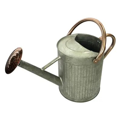 Gardener Select W3006ZCGCNL7 Metal Watering Can Modern Indoor Outdoor Watering Pot with Handles 