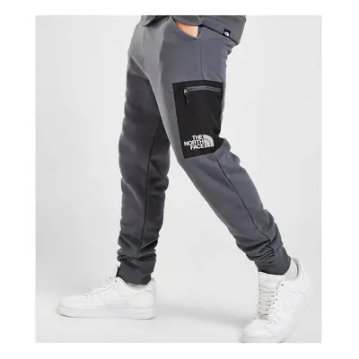 (L) The North Face Cargo Pant Grey