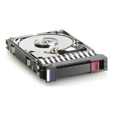 300Gb 10K RPM SAS 2.5 Inch