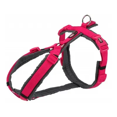 Trixie Premium Trekking Y Shaped Dog Harness - Fuchsia/Graphite, Large