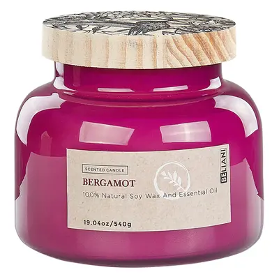 Scented Candle DELIGHT BLISS Soy Wax Fruity Notes