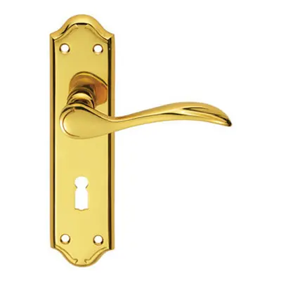 PAIR Curved Door Handle Lever on Lock Backplate x 45mm Polished Brass