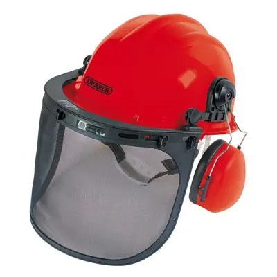 Forestry Helmet