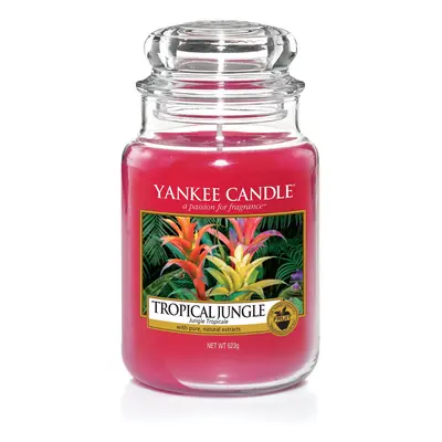 Yankee Candle Tropical Jungle Jar, Pink, 10.7 x 10.7 x 16.8 cm