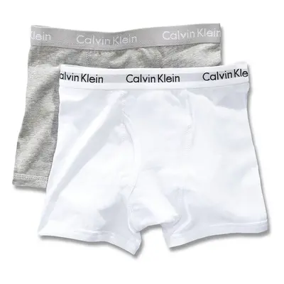 Calvin Klein Boy's Assorted Boxer Briefs (Pack of 2) (Gray (37467612-M