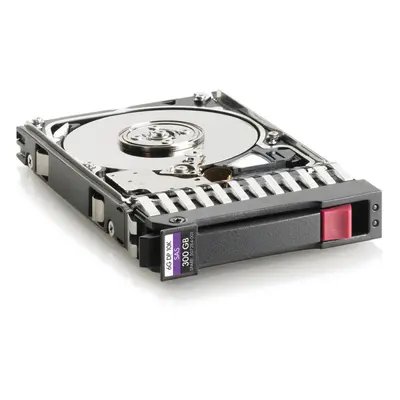 300 Gb SAS 10.000Rpm 2.5 Inch