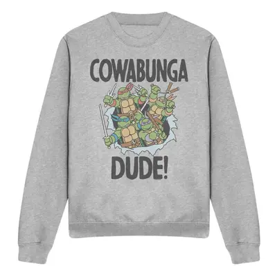 (XL, Sport Heather) Teenage Mutant Ninja Turtles Unisex Adult Cowabunga Dude Sweatshirt