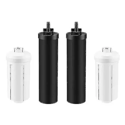 2 Activated Carbon Filters And Fluoride Filters