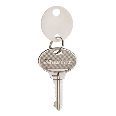 KEY TAGS OVAL PLSTCBG20 (Pack of 1)