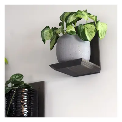 Daniel's Plants Midcentury Modern Gallery Wall Plant Shelf Pack (Bevelled Edge)