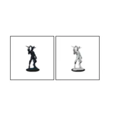 WizKids/NECA D&D Nolzur's Marvelous Miniatures: Nightwalker - Units