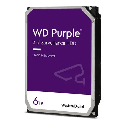 Purple Surveillance 3.5"