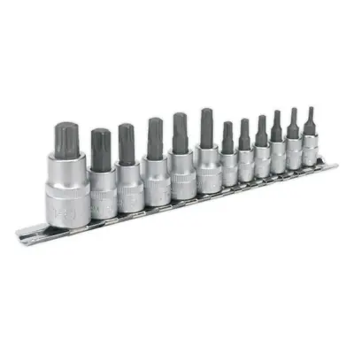 12pc TRX Star Socket Bit Set - 1/4" 3/8" 1/2" Square Drive - T10 to T60 TORX Kit