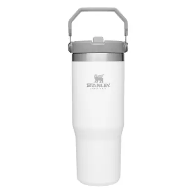 Stanley IceFlow Stainless Steel Tumbler with Straw Vacuum Insulated Water Bottle for Home Office