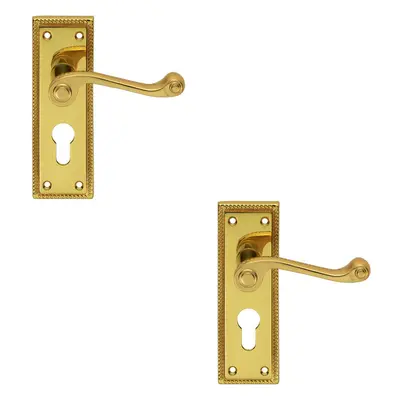 2x PAIR Reeded Design Scroll Lever on Euro Lock Backplate x 48mm Brass