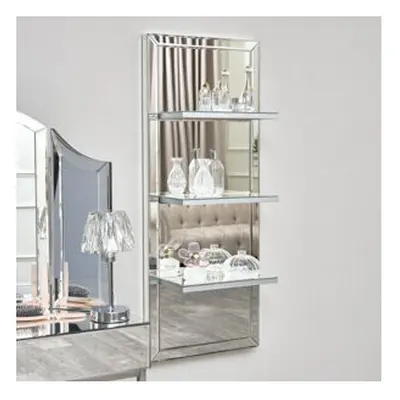 Mirrored Wall Mounted Shelving Unit